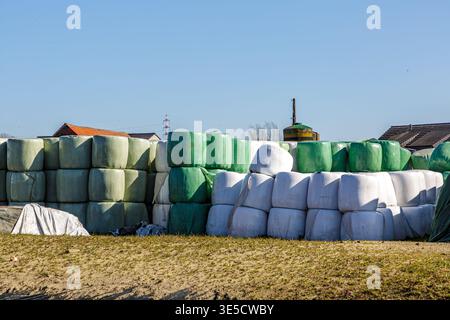 Große Menge Heuballen, die in grüne und weiße Kunststoffplatten gestapelt und eingewickelt wurden, Land neben dem Bauernhaus zur Lagerung, sonniger Wintertag in Maase Stockfoto