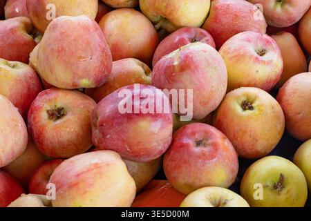 Frische Äpfel stapeln mit Wassertropfen natürliche Früchte gesunde Bio-Lebensmittel Marktkonzept Stockfoto