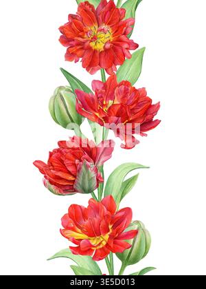 Aquarellfloraler Rand aus roten Tulpen mit grünen Blättern und Knospen. Nahtloses Muster der Frühlingsblumen. Ideal für Einladungen, Schreibwaren und Verpackungen Stockfoto
