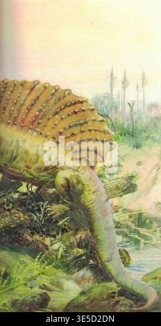 Edaphosaurus pogonias. Prähistorischer Spinosaurus mit Segelflosse in einer üppigen, alten sumpfigen Umgebung. Eine detaillierte Illustration zeigt den majestätischen Spinosaurus-Dinosaurier in seinem natürlichen Lebensraum, umgeben von dichter Vegetation und flachem Wasser. Stockfoto