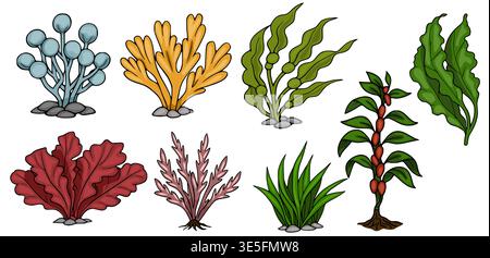Satz von bunten Unterwasserpflanzen Vektor-Illustration, vielfältige Meeresflora isoliert auf weißem Hintergrund Stock Vektor