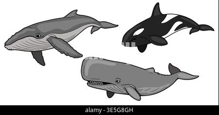 Set aus drei Zeichentrickwalen: Buckelwale, Pottwale und Orca-Vektor-Illustration Stock Vektor