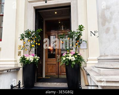 Elegantes Stadthaus in London, Großbritannien, mit Doppeltüren aus Holz, Zitruspflanzen und dekorativen Säulen. Stockfoto