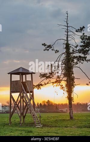 Ein verwitterter hölzerner Jagdturm steht neben einer einsamen Kiefer, während die Sonne über einem grünen ländlichen Feld untergeht und warmes goldenes Licht und eine ruhige Atmosphäre strahlt Stockfoto