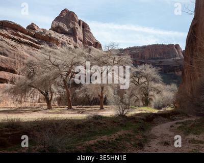 Canyon de Chelly, Lage: Chinle AZ Stockfoto