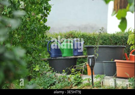 Gießkannen Und Töpfe Neben Der Hecke, Helle Plastikkannen Auf Schwarzen Wannen, Terrakotta-Töpfe Gestapelt, Kelle Hängend In Boden, Üppiges Grünes Fol Stockfoto