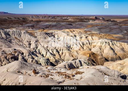 Die farbenfrohen Badlands der Painted Desert erstrecken sich über den Petrified Forest National Park in Arizona Stockfoto