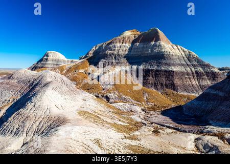 Die farbenfrohen Badlands der Painted Desert erstrecken sich über den Petrified Forest National Park in Arizona Stockfoto