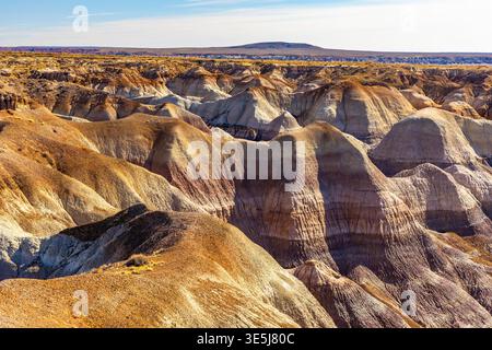 Die farbenfrohen Badlands der Painted Desert erstrecken sich über den Petrified Forest National Park in Arizona Stockfoto