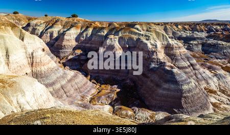 Die farbenfrohen Badlands der Painted Desert erstrecken sich über den Petrified Forest National Park in Arizona Stockfoto