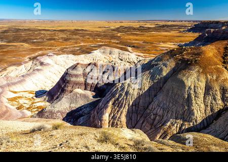 Die farbenfrohen Badlands der Painted Desert erstrecken sich über den Petrified Forest National Park in Arizona Stockfoto