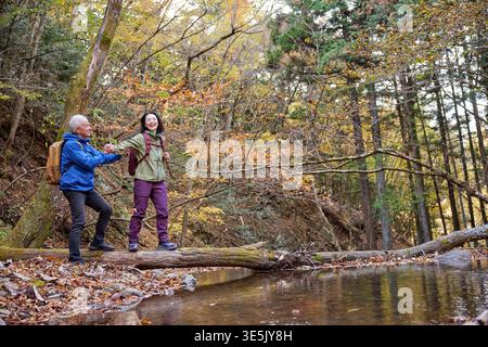Lächelndes japanisches Seniorenpaar, das während der Herbstwanderung einen umgestürzten Baum überquert Stockfoto