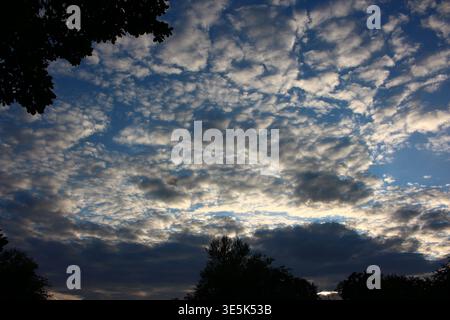 Ein dramatischer Himmel voller verstreuter Altocumulus-Wolken in der Abenddämmerung, die tiefblaue Flecken enthüllen. Silhouetten umrahmen die lebendige Atmosphäre Stockfoto