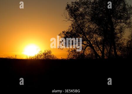 Die goldene Sonne fällt ab und beleuchtet dunkle Bäume und Buschsilhouetten vor einem leuchtenden orangefarbenen Himmel. Ruhige und warme abendliche Landschaft Stockfoto