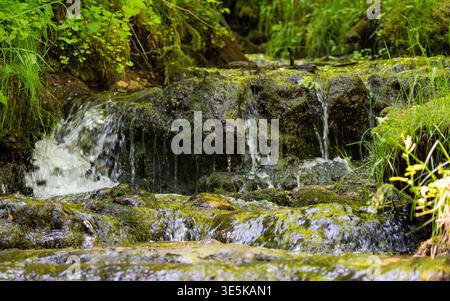 Lebendiges grünes Moos klebt an dunklen Felsen, während kristallklares Wasser in den Sommermonaten einen kleinen, versteckten Waldwasserfall hinunter stürzt Stockfoto