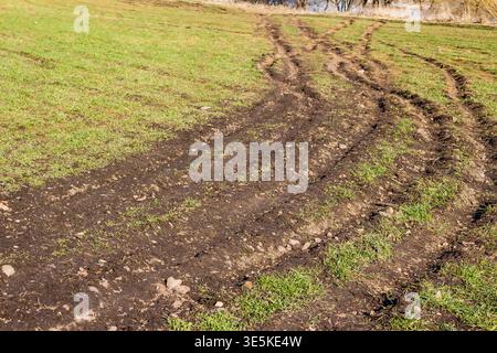 Tiefe Spurrillen schneiden sich durch ein grasbewachsenes Feld und zeigen die schlammigen Folgen der jüngsten Reise durch das feuchte Frühlingsgelände Stockfoto