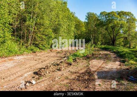 Ein schroffer Feldweg schlängelt sich durch üppig grüne Wälder unter hellem Himmel. Der unbefestigte Pfad zeigt die jüngste Aktivität, die durch die lebhaften Frühlinge führt Stockfoto