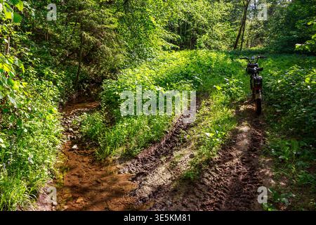 Ein E-Bike liegt auf einem schlammigen Waldweg, die Reifen sind frei. Üppiges Grün umgibt einen sich windenden Bach, der auf eine abenteuerliche Wanderung hinweist Stockfoto