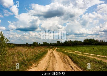 Der rustikale Landweg schlängelt sich durch üppige und trockene Felder unter einem dynamischen bewölkten Himmel. Eine unbefestigte Straße führt weiter, eine Reise wartet auf Sie Stockfoto