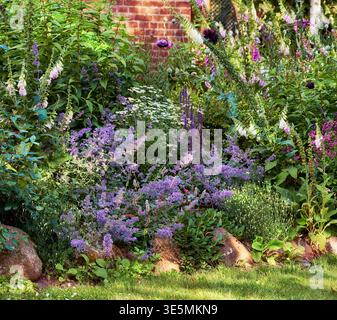 Frühling, Natur oder Wachstum von Blumen im Garten für die Blütezeit, Bestäuberhabitat oder Ökologie. Haus, nepeta Pflanzen und umweltfreundlicher Garten für Stockfoto