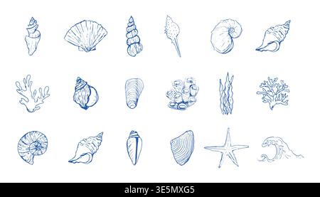 Blaue Muscheln und Seesterne zeichnen handgezeichnete Illustrationen, Küstenillustration. Minimalistische Strichkunst. Designelemente für den Sommerurlaub für trendige Prints. Vektorabbildung Stock Vektor