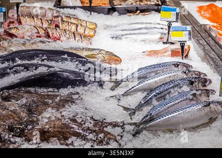 Verschiedene Fischsorten auf Eis im Supermarktregel Stockfoto