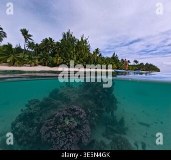 Frau paddelt über Korallenriff in der Nähe des tropischen Inselstrandes mit Palmen, gespaltene Unterwasser- und Überwasserszene. Stockfoto
