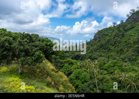 Üppiger tropischer Wald über den Bergen mit Blick auf die Bucht von Atuona, Hiva OA, Französisch-Polynesien. Eine atemberaubende Landschaft mit grünen Hügeln, Palmen und Th Stockfoto