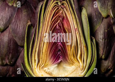 Detaillierte Makroansicht einer geschnittenen Artischocke, die ihre komplexen, geschichteten Blätter und den zentralen Kern enthüllt. Stockfoto