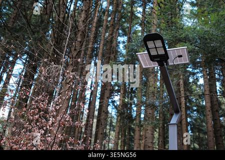 Solarbetriebene Straßenbeleuchtung im Nadelwald eines Naturparks. Erneuerbare Energietechnologie, die in die Natur integriert ist. Stockfoto