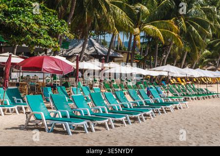 Leere Liegestühle und Sonnenschirme am tropischen Strand mit Palmen auf Koh Samui Stockfoto