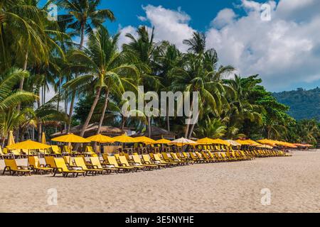 Lange Reihe von gelben Liegestühlen und Sonnenschirmen am tropischen Sandstrand mit Palmen und Resortbereich Stockfoto