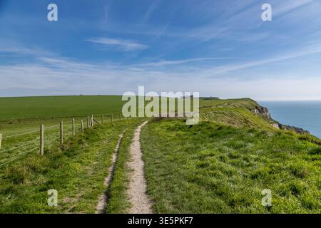 An einem sonnigen Frühlingstag entlang des Küstenweges White Nothe in Dorset Stockfoto