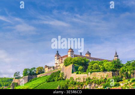 Festung Marienberg und Burgmauer auf dem Marienberg mit Weinbergen in Würzburg Altstadt Würzburg Altstadt Altstadt Altstadt Würzburg Altstadt Mitte, Unteren Fran Stockfoto