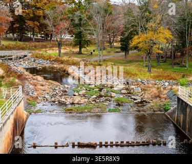 Herbstbach in Reston, Virginia, USA, mit lebhaftem Herbstlaub, das sich im ruhigen Wasser spiegelt. Farbenfrohe Bäume und natürliche Landschaft schaffen eine ruhige Jahreszeit Stockfoto