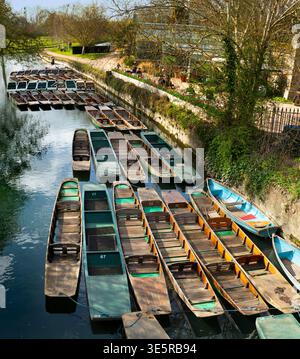 Massed Punts on the River Cherwell - eine ruhige Szene an der Magdalen Bridge, Oxford, England. Dies ist ein berühmter Ort für Klettern und Bootstouren während der Sommermonate. Aber es ist noch Frühling, also ist das noch ein paar Monate entfernt. Aber die Touristen kommen... Und natürlich ein paar Studenten. Stockfoto