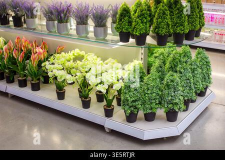 Regale in einem Laden mit verschiedenen Topfpflanzen und Blumen. Pflanzengeschäft, Einzelhandel, Gartencenter, Inneneinrichtung. Stockfoto