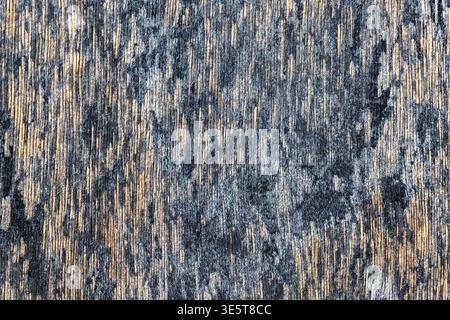 Grau verwitterte alte Holzstruktur, altertümlicher silbriger Holzoberflächenhintergrund mit blaugrauem Ton und rauer organischer Körnung Stockfoto