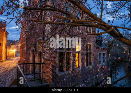 Nachtblick auf den Leuven Beguinage. Die Ziegelfassade mit leuchtenden Fenstern reflektiert den Kanal, eingerahmt von blühenden Ästen. Ein ruhiges und historisches AT Stockfoto