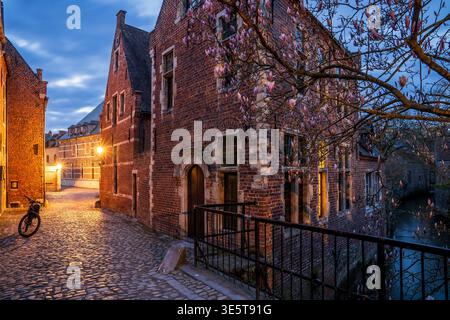 Nachtblick auf Leuven Beguinage. Backsteingebäude aus dem 17. Jahrhundert, leuchtende Fenster und eine blühende Magnolie überblicken den Kanal. Ein Fahrrad auf dem Kopfsteinpflaster Stockfoto