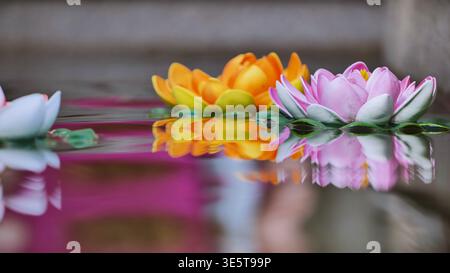 Bunte Lotusblüten aus Plastik, die auf Wasseroberfläche mit Reflexion schweben Stockfoto