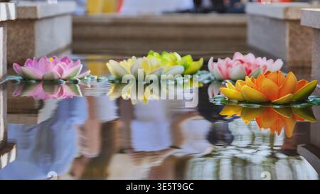 Bunte künstliche Lotusblüten, die in Vietnam auf dem Wasser schwimmen Stockfoto