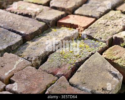 Nahaufnahme von verwitterten Altsteinen mit Moos- und Mörtelrückständen. Blick von oben auf farbenfrohe gesammelte Tonziegel für rustikale Bauten oder Kap Stockfoto