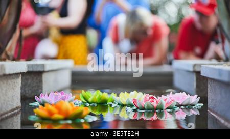 Bunte Lotusblüten, die auf der Wasseroberfläche schweben, mit verschwommenen Menschen in Vietnam Stockfoto