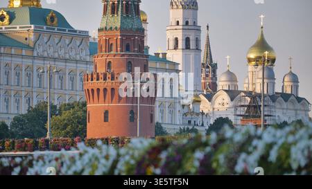 Moskauer Kreml-Architektur und roter Backsteinturm mit goldenen Kuppeln, Sommerblumen im Vordergrund Stockfoto