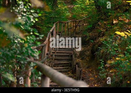 Eine verwitterte Holztreppe mit einem Geländer führt auf einen Waldweg, der von dichtem Laub und schimmerndem Sonnenlicht umgeben ist Stockfoto