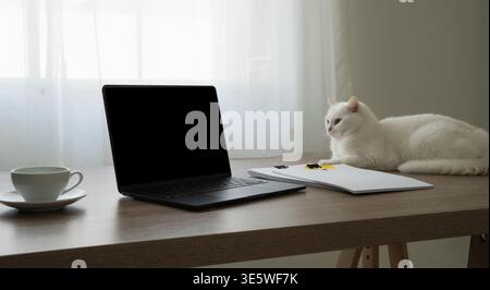 Home Office mit weißer Katze neben Laptop, Kaffeetasse und Notebook auf Holzschreibtisch, gemütlicher Arbeitsplatz, minimaler Einrichtung, Produktivität und Stockfoto