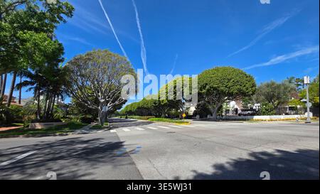 Von Bäumen Gesäumte Wohnstraße Unter Blauem Himmel. Breite Vorstadtkreuzung, umrahmt von gepflegten Bäumen, ruhigen Häusern und weißen Kondensstreifen in einer lebhaften Landschaft Stockfoto