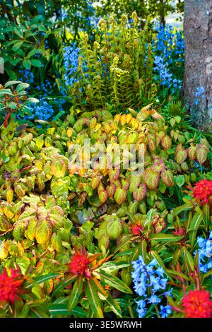 Ökologie, Garten und Blumen mit Wachstum, Blättern und Vielfalt mit Textur für die Blüte im Sommer im Freien. Verschiedene Pflanzen, Blumen und viele Blütenblätter Stockfoto