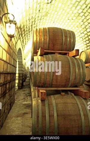 Weinkeller mit Holzfässern Stockfoto